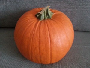 20171023_151356