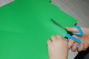 DSC_5175